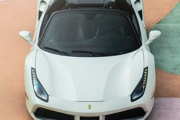 488 White Spider (2019)