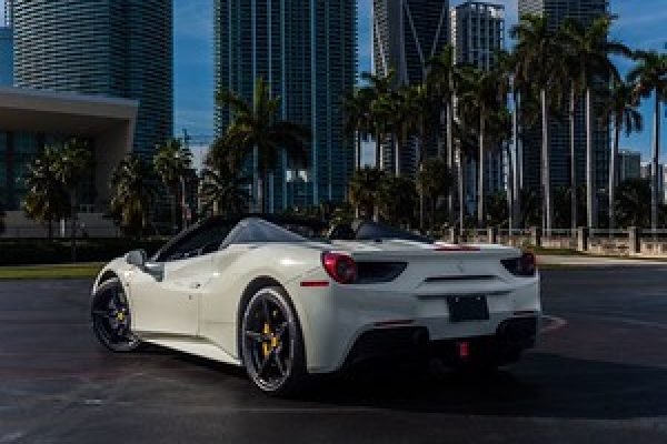 488 White Spider (2019)