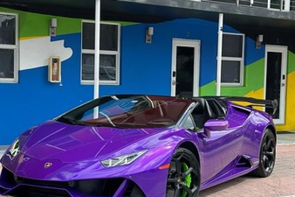 Lamborghini Purple EVO (2021)