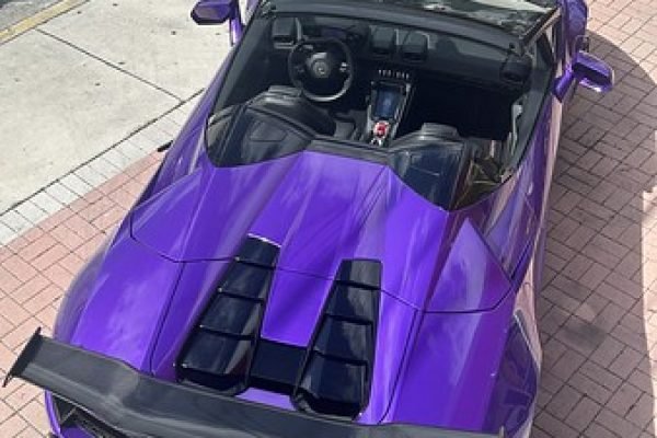 Lamborghini Purple EVO (2021)